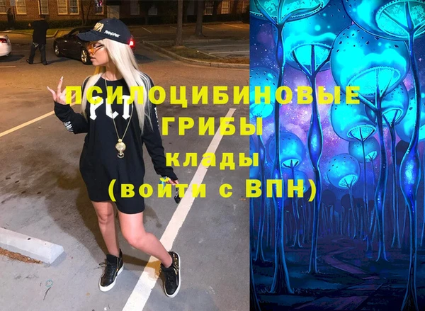 шишки Алзамай