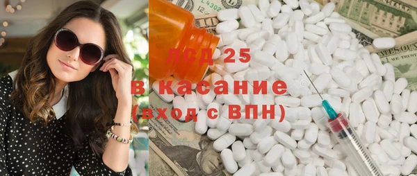 шишки Алзамай