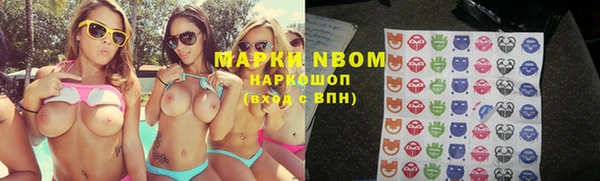 шишки Алзамай