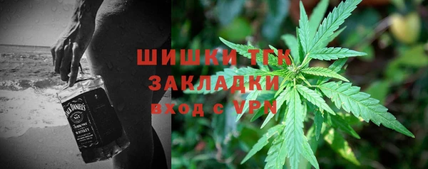 шишки Алзамай