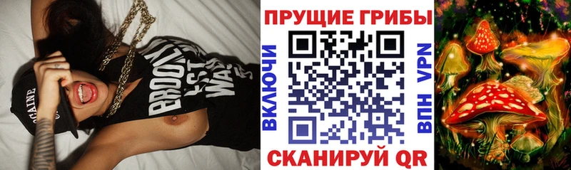 мега вход  Новоаннинский  Псилоцибиновые грибы MAGIC MUSHROOMS 